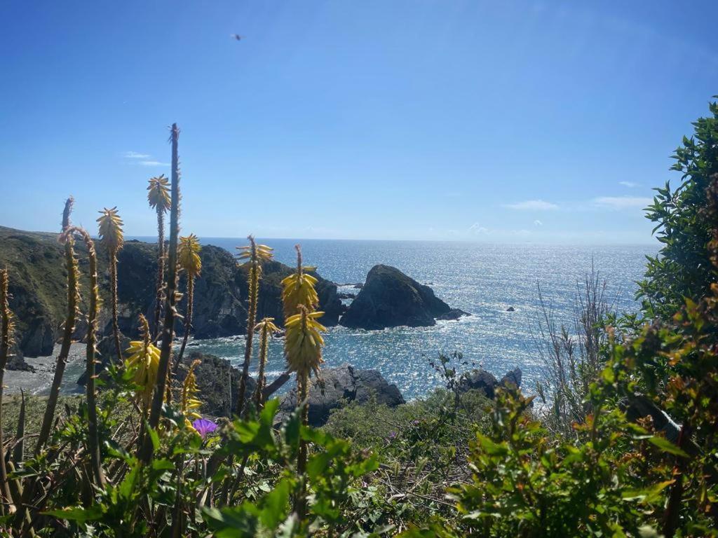 Casa Do Brejao Campo E Praia 奥德米拉 外观 照片