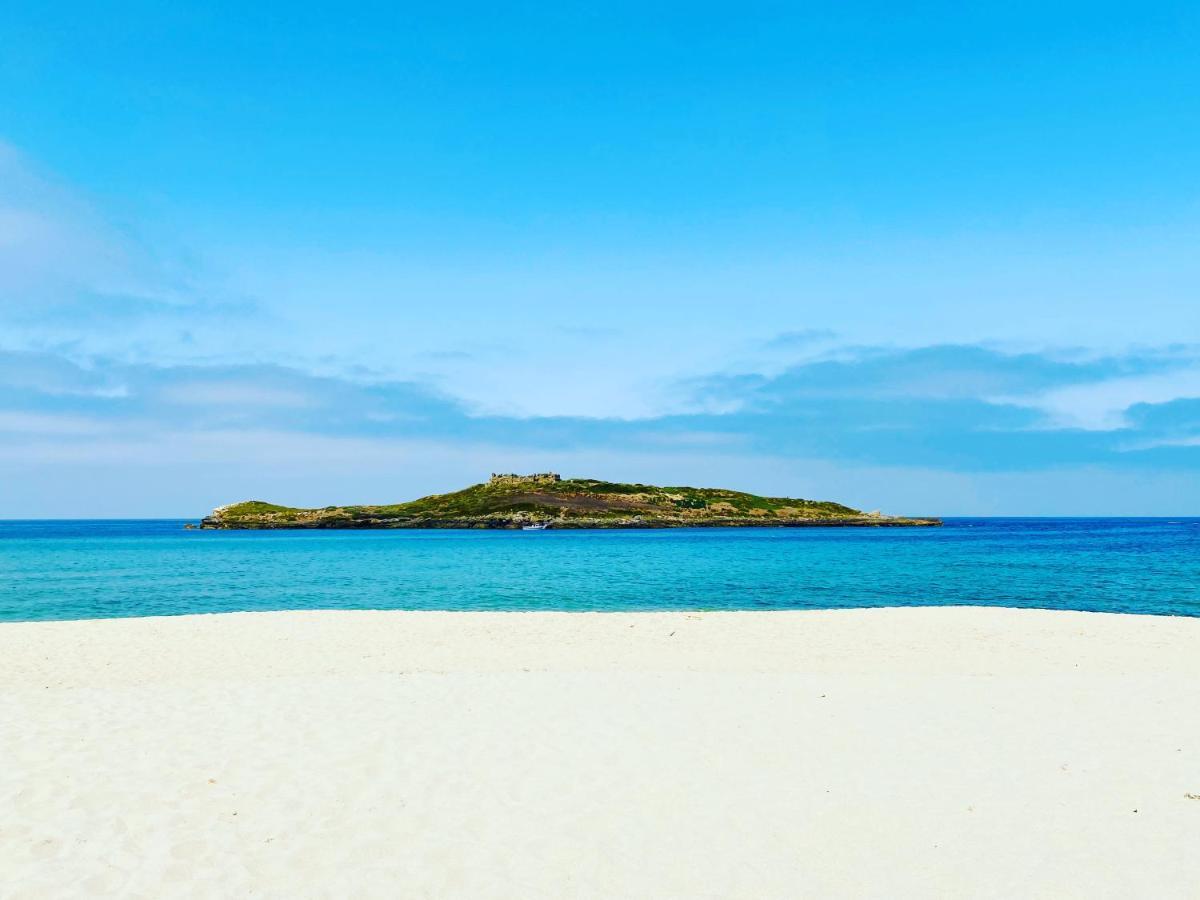 Casa Do Brejao Campo E Praia 奥德米拉 外观 照片