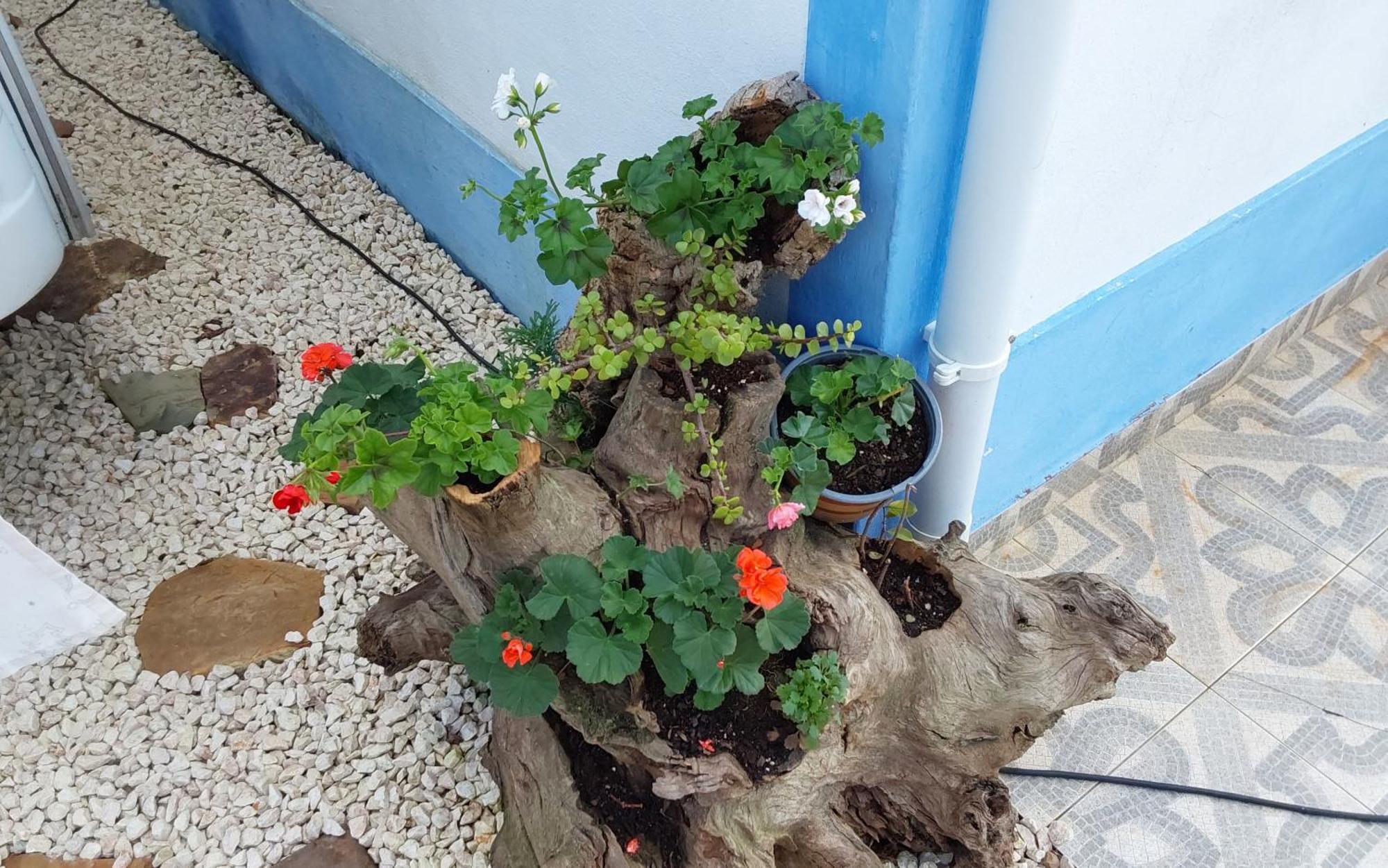 Casa Do Brejao Campo E Praia 奥德米拉 外观 照片