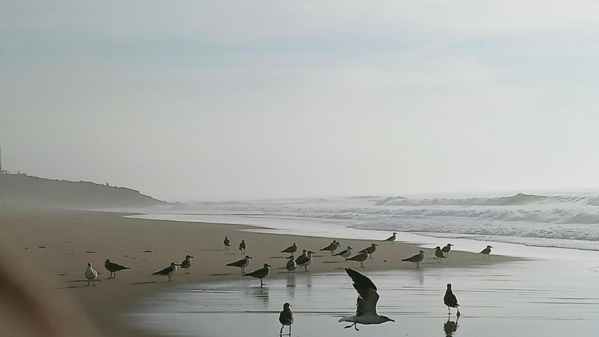Casa Do Brejao Campo E Praia 奥德米拉 外观 照片