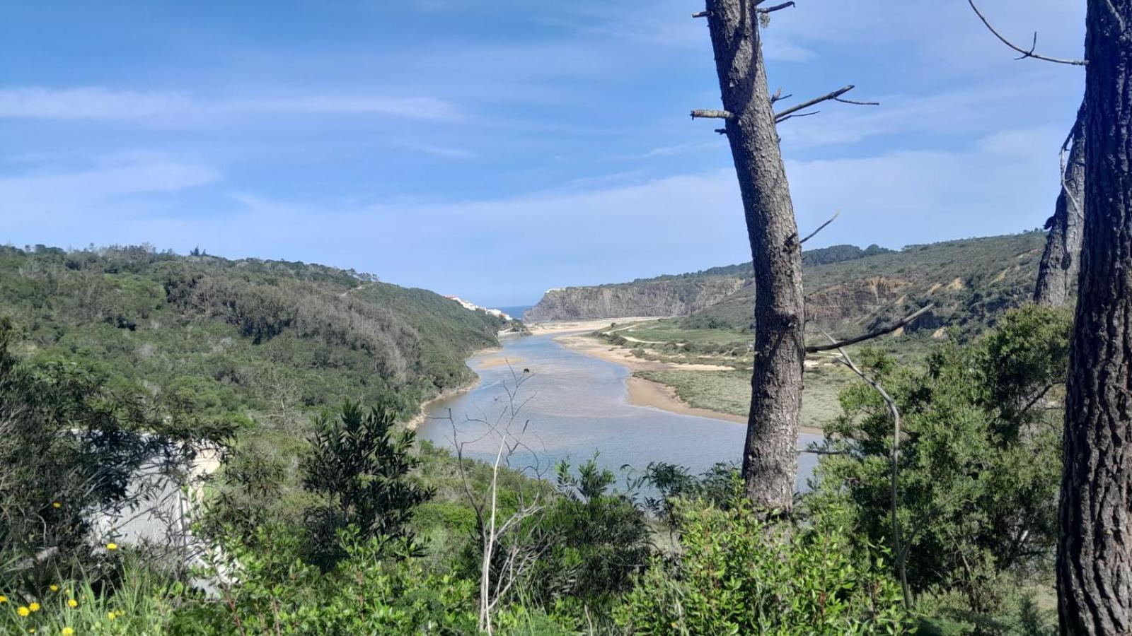 Casa Do Brejao Campo E Praia 奥德米拉 外观 照片