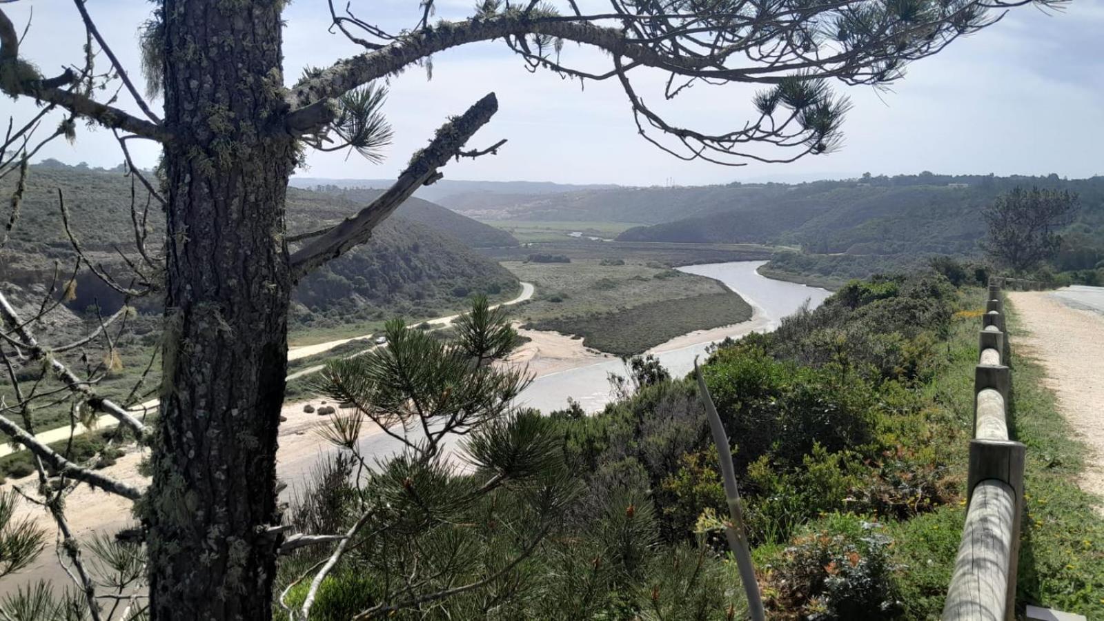 Casa Do Brejao Campo E Praia 奥德米拉 外观 照片