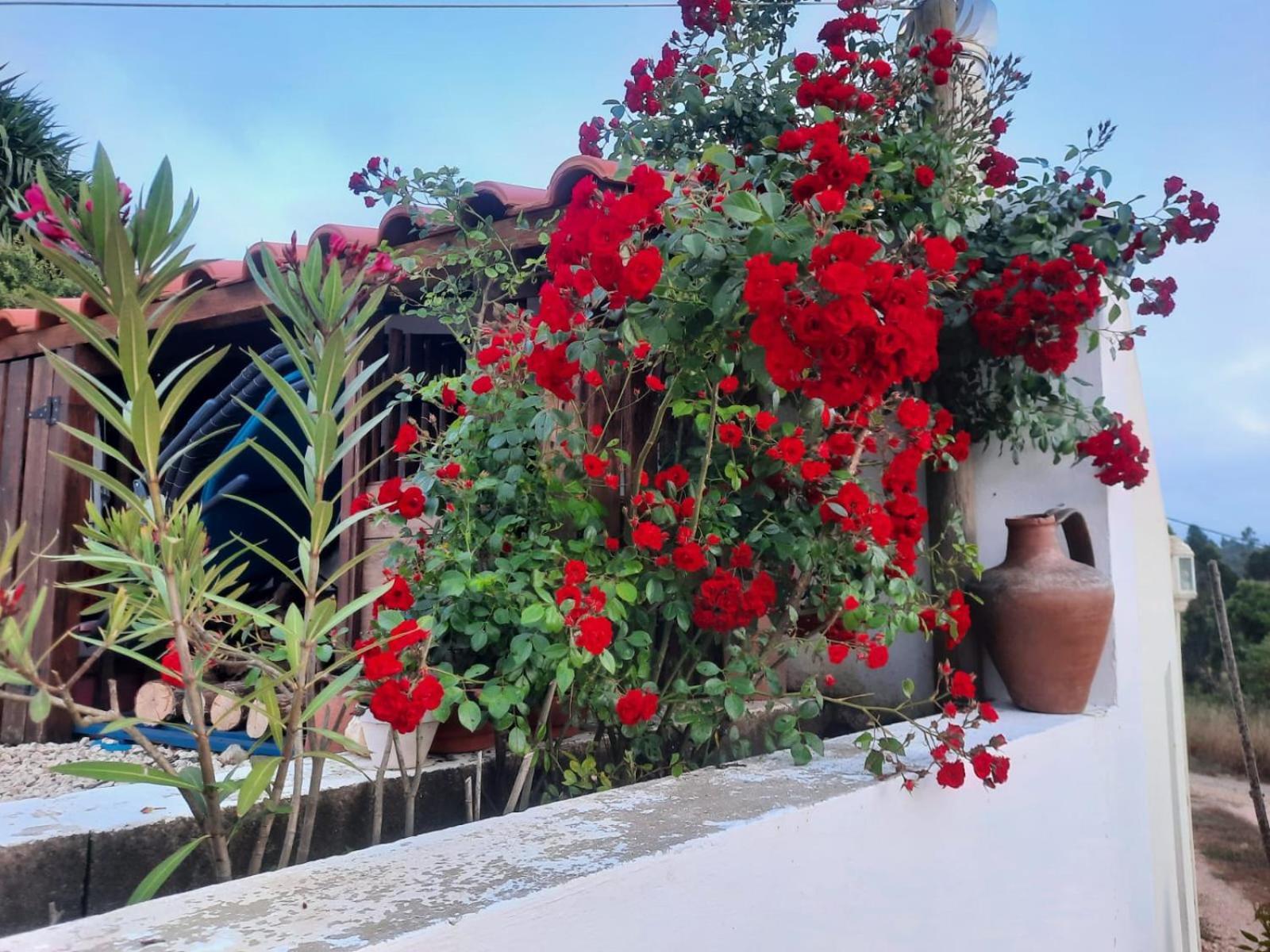 Casa Do Brejao Campo E Praia 奥德米拉 外观 照片